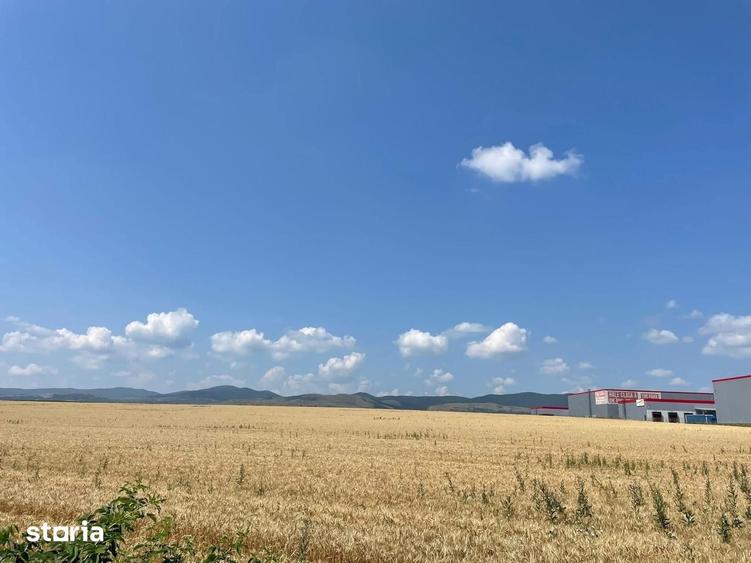 Terern pentru investitie in Bacau potrivit pentru proiect imobiliar - 11