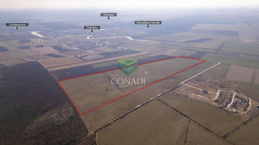 Teren Construcții intravilan de 450000 mp, în Ostratu