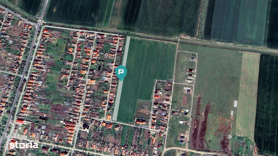 Teren de 7317 mp, în Zimandu Nou