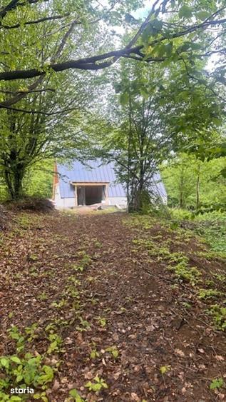 Casă cu 2 camere cu Teren 30 Mp în Baia Sprie