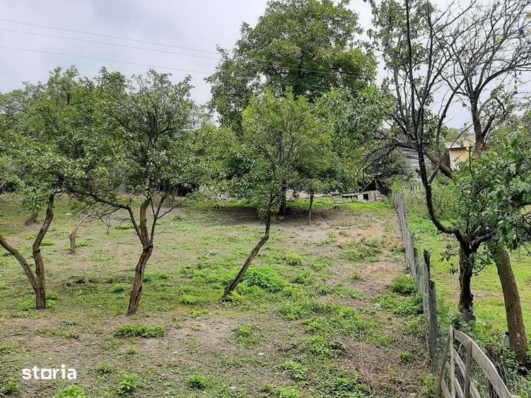 Teren de 1262 mp, în Chiojdu
