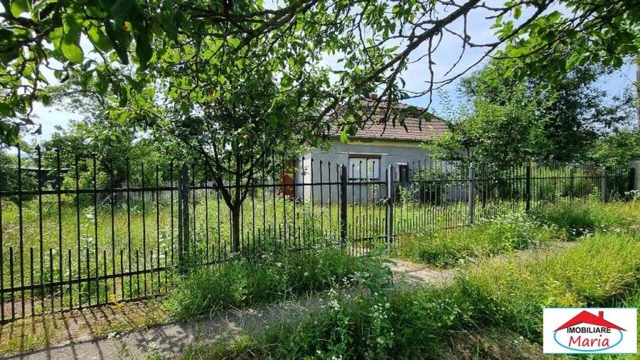 Casă individuală cu 2 camere cu Teren 8052 Mp în Viile Satu Mare