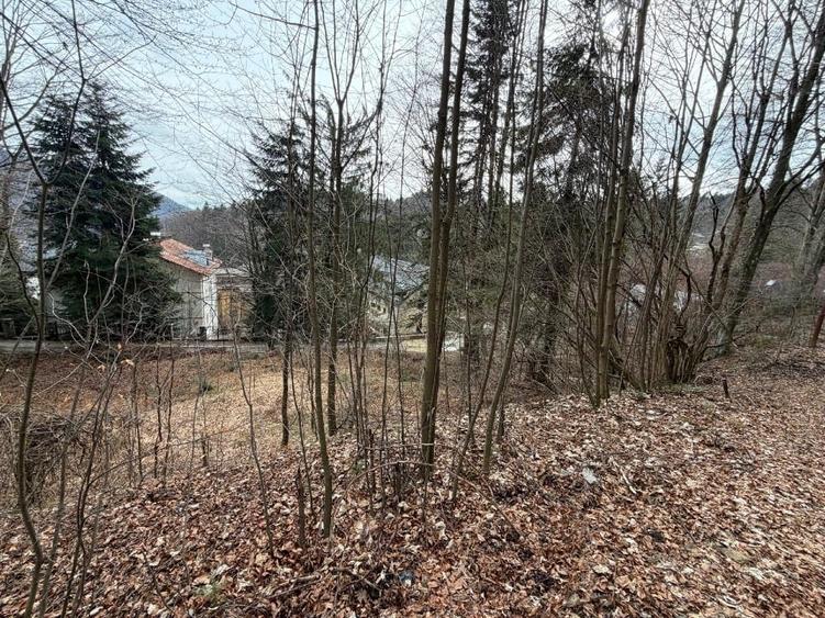 Teren Construcții intravilan de 500 mp, în Central