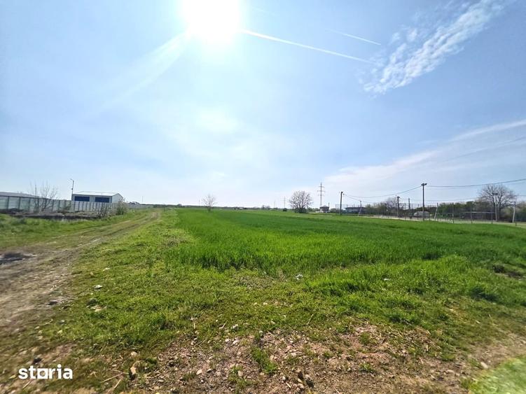 Teren de 13602 mp, în Dragomirești-Vale