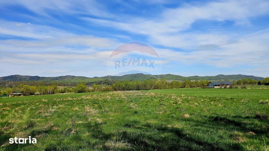 Teren de 10000 mp, în Vânători-Neamț