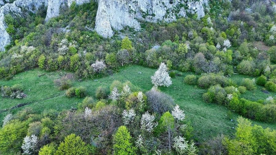 Teren de 25000 mp, în Vulcan