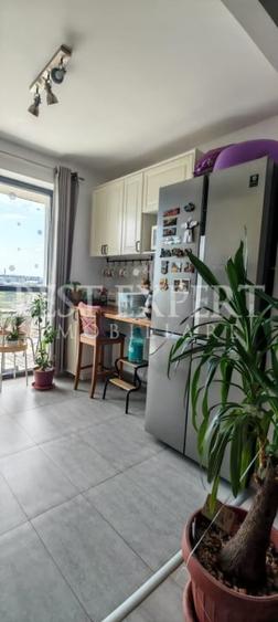 Apartament cu 3 camere decomandat, mobilat în Theodor Pallady