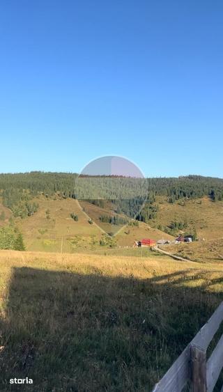 Teren de 4914 mp, în Beliș
