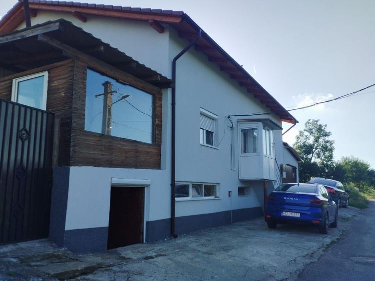 Casă cu 4 camere cu Teren 740 Mp în Pișchia