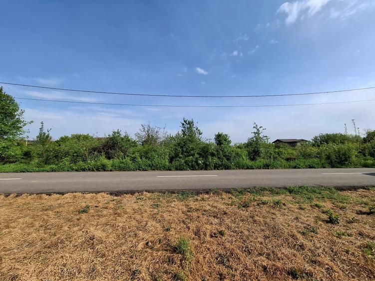 Teren Construcții intravilan de 3300 mp, în Vlădiceasca