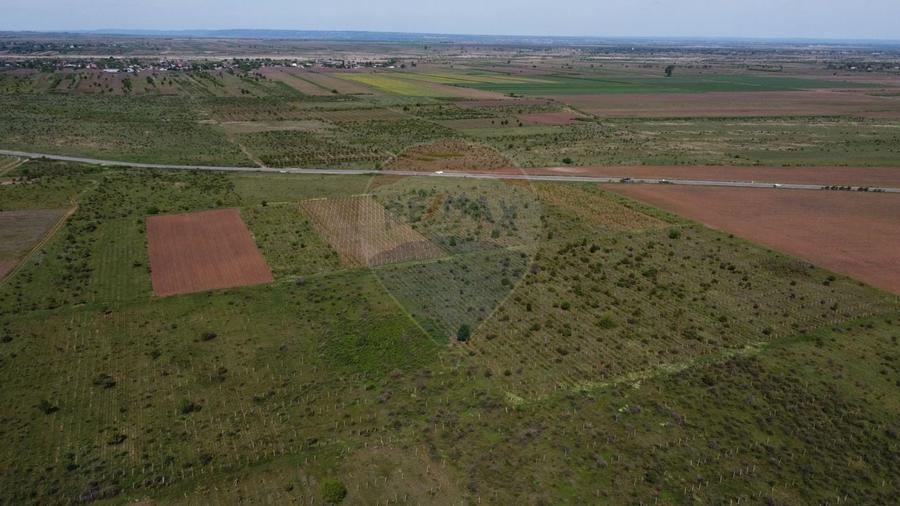 Teren agricol extravilan de 33000 mp, în Bolotești