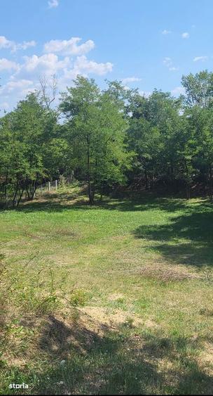 Teren de 3231 mp, în Milcoiu