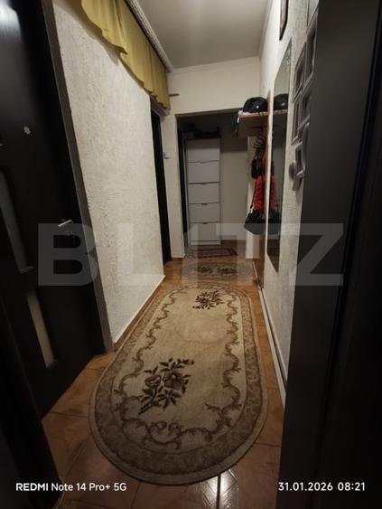 Apartament cu 3 camere semidecomandat, mobilat în Alexandru cel Bun