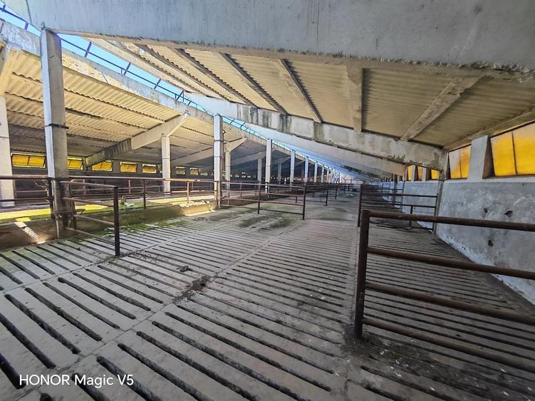 Spațiu comercial, de 7,950 mp, în Orțișoara