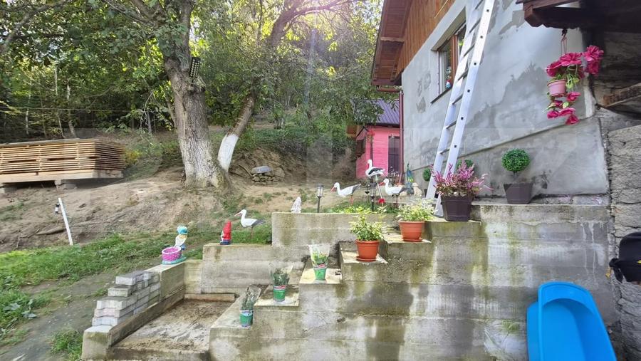 Casă individuală cu 3 camere cu Teren 23000 Mp în Poiana Mărului