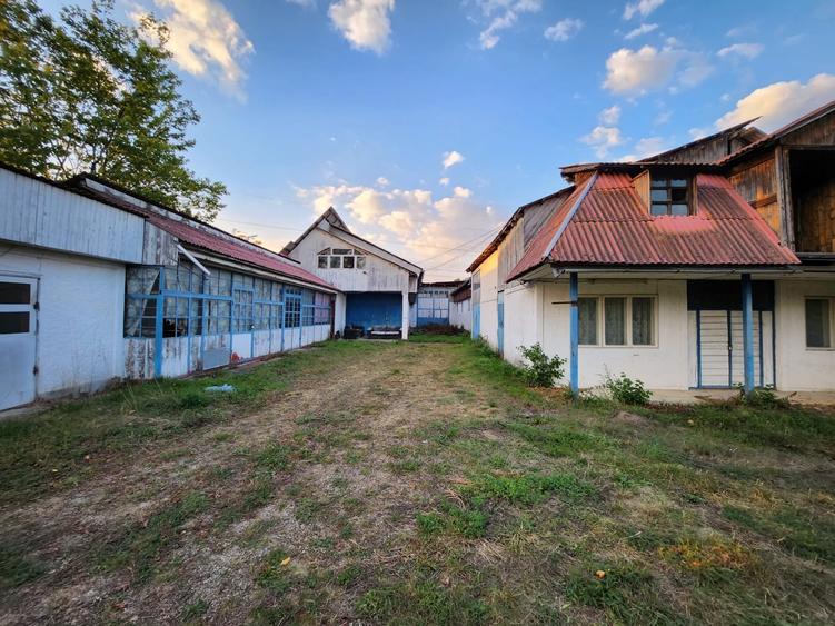 Teren Construcții intravilan de 8200 mp, în Alexandru cel Bun