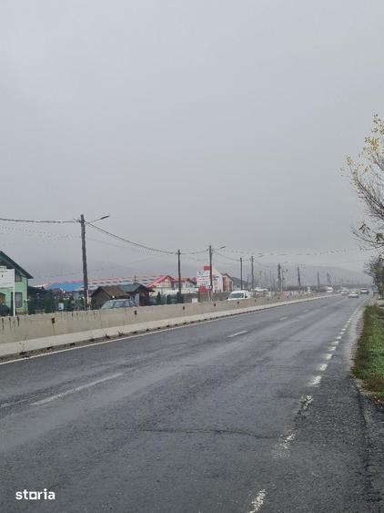 Teren de 86312 mp, în Mărăcineni
