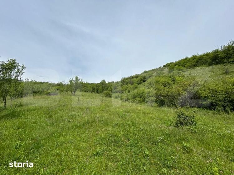 Casă cu 8 camere cu Teren 8700 Mp în Mintiu Gherlii