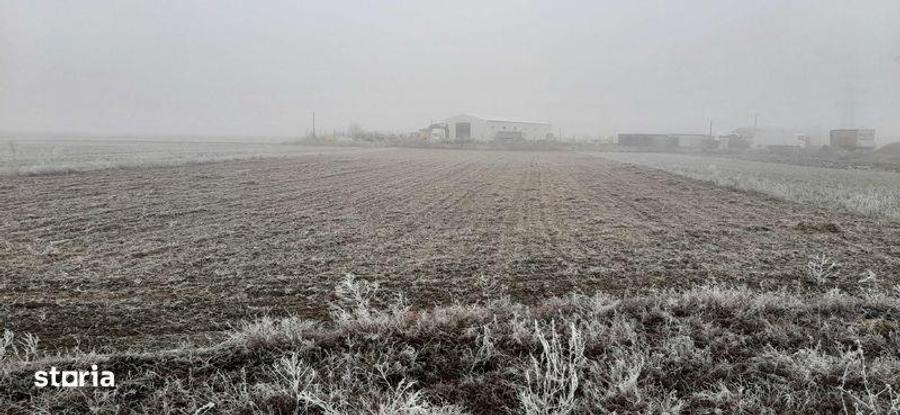 Teren de 6500 mp, în Tărtășești