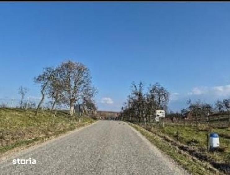 Teren de 1931 mp, în Nădrag