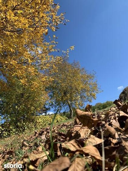 Casă cu 3 camere cu Teren 100 Mp în Silivașu de Câmpie