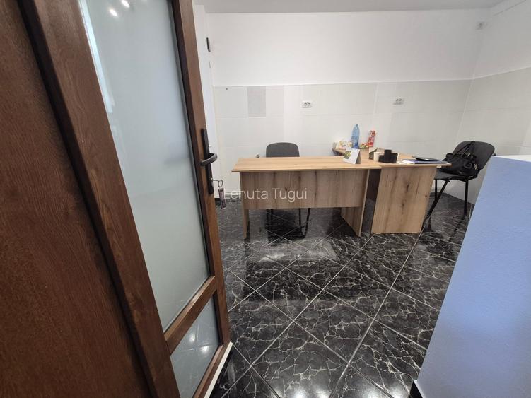 Vanzare spatiu comercial 16mp Alexandru cel Bun Iasi