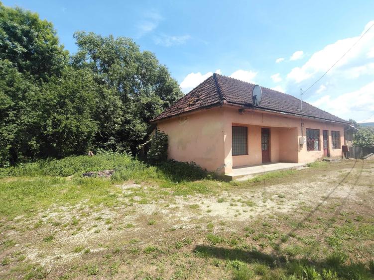 Imobil de vanzare Valea Muresului- judet Arad - 1