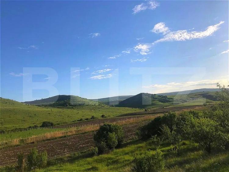 Teren de 1000 mp, în Pata