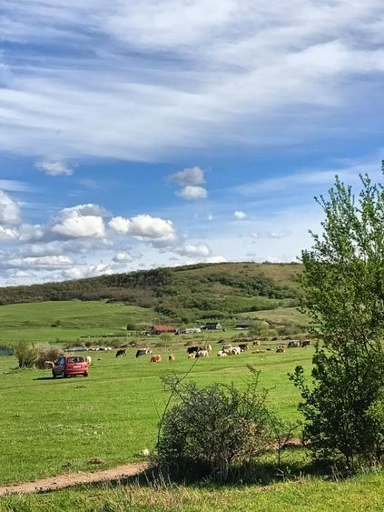 Teren intravilan de 3000 mp, în Sud