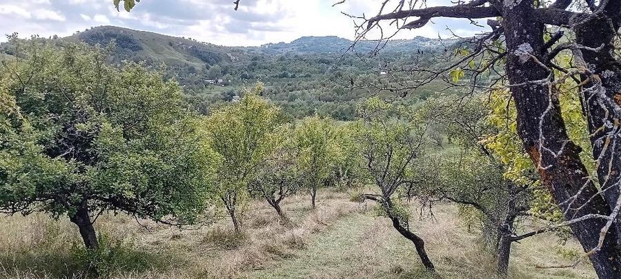 Teren de 12000 mp, în Suslănești