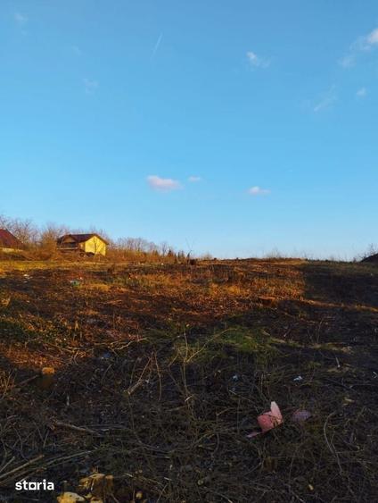 Super Ocazie Se Vinde Teren Cu Deschidere La Lacul Snagov - 4