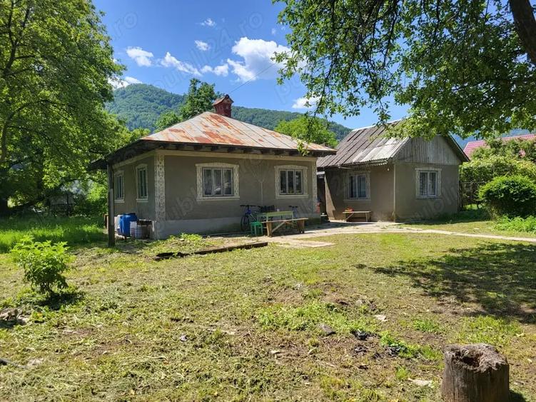 Casă cu 3 camere cu Teren 1525 Mp în Tarcău