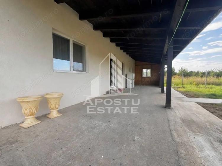 Casă cu 5 camere cu Teren 800 Mp în Pădureni (Jebel)