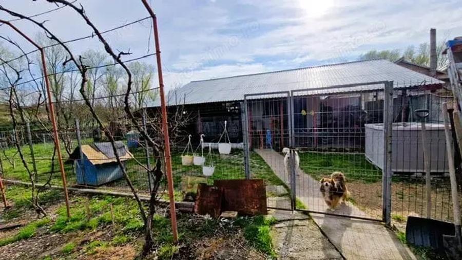 Casă cu 5 camere cu Teren 1500 Mp în Turia