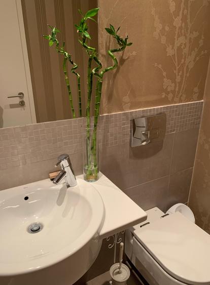 Apartament cu 3 camere decomandat în Armeneasca