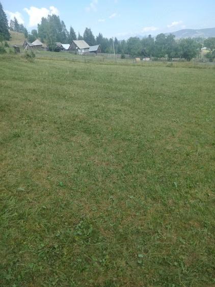 Teren de 2900 mp, în Panaci