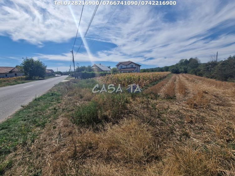 Teren Construcții intravilan de 2309 mp, în Cartiu