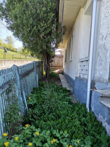 Casă cu 3 camere în Central