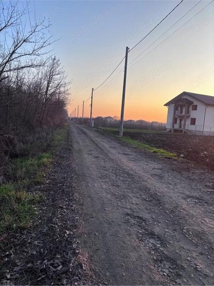 Loturi de 500 mp langa Padurea Mihai Voda, Bolintin deal - 5
