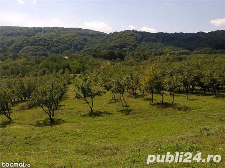 Teren de 4295 mp, în Cetățuia