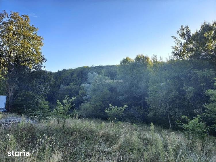 Teren intravilan de vanzare in padure Cisnadioara - 3