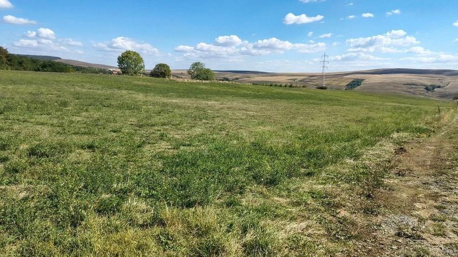 Teren Construcții intravilan de 1500 mp, în Rediu