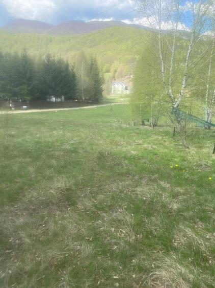 Teren de 800 mp, în Cheia