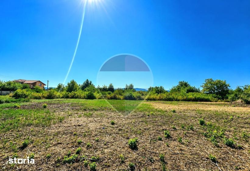 Teren de 1800 mp, în Sărata