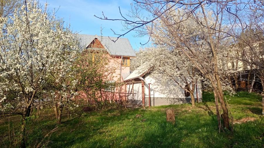Casă individuală cu 3 camere cu Teren 2000 Mp în Bârnova