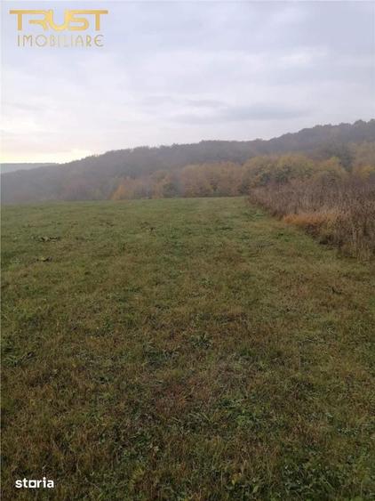 Teren de 2900 mp, în Baciu