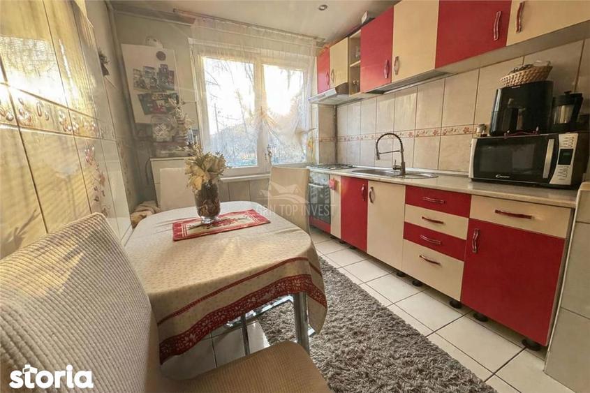 Apartament cu 2 camere, mobilat în Terezian