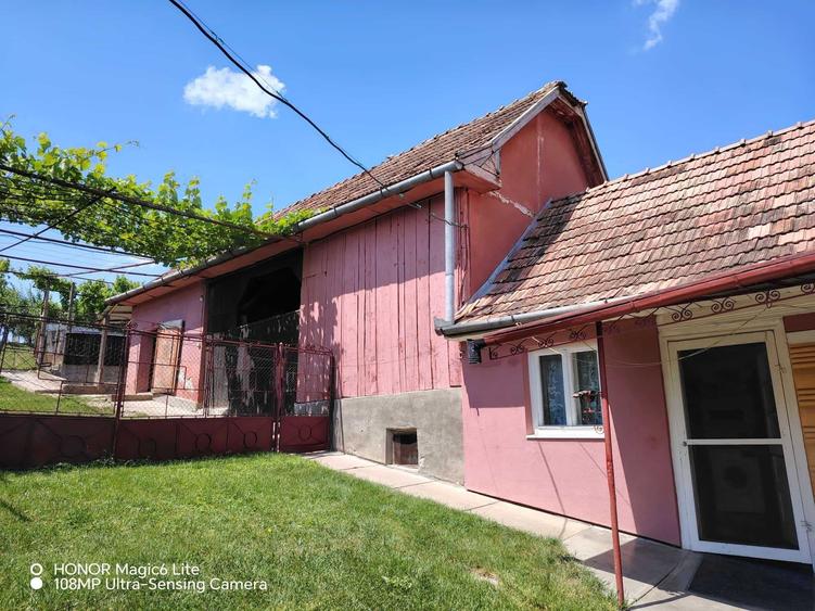 Casă cu 2 camere în Viișoara