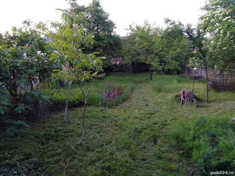 Casă cu 3 camere cu Teren 511 Mp în Bocșa
