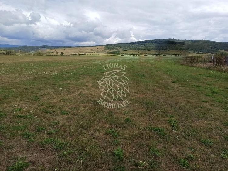Teren Construcții intravilan de 5217 mp, în Livezile